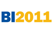 BI 2010